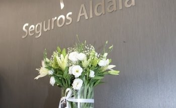 Seguros Aldaia