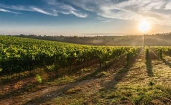 DS BROKER DE SEGUROS