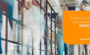 Sector Asegurador - Comparador de seguros