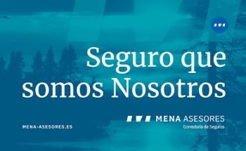 Mena Asesores