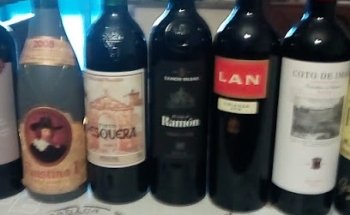 Ibex Insurance Tenerife