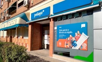 Pelayo Insurance Office