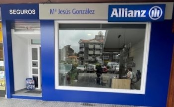 Allianz Seguros - Agente Mª Jesús González García