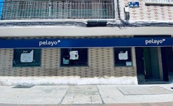 Oficina Seguros Pelayo