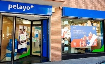 Pelayo Insurance Office