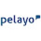 Pelayo Insurance Office