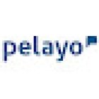 Pelayo Insurance Office