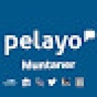 Oficina Assegurances Pelayo