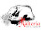 La Maltería HFL Tap Room