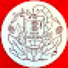 The Beer Garden Tap Room Saloon