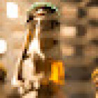 La Boutique de la Cerveza