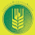 Espiga Craft Beer Shop | Sagrada Família