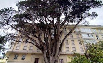 First Stop Palacios Total Car Viveiro