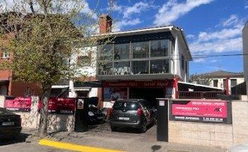 neumaticos poli