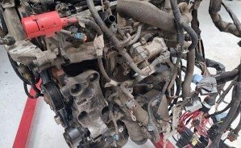 L&J Motor