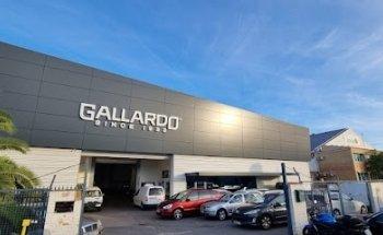 Bosch Car Service Diesel Gallardo