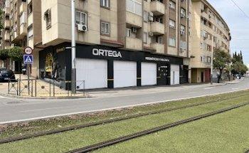 NEUMATICOS ORTEGA