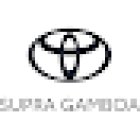 Taller Oficial TOYOTA Esquerdo - Supra Gamboa