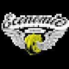 Group Neumáticos Economic