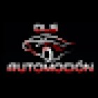 DLS Automoción
