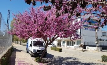 Funeraria Tanatorio Montehermoso S L