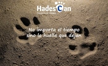 Animal Crematorium Hadescan S.L.