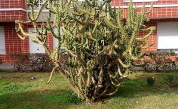 Tanatorio Bizkaia Getxo