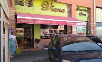 Floristería Viana