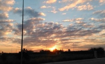 Tanatori de L'Alcúdia