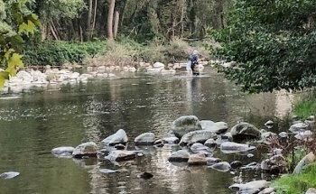 Tanatori Ter Brugent