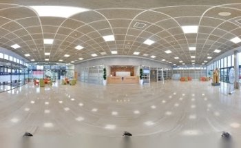 Vascongada Ehorzketak