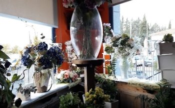 Funeraria - Tanatorio Modicar