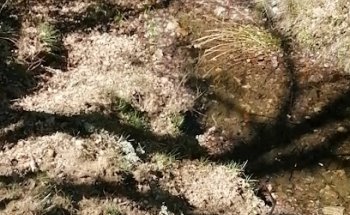 Tanatorio Robledillo de La Jara