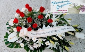 Tanatorio de Argujillo