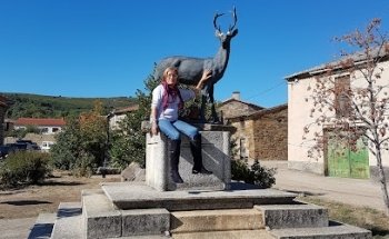 SERVICIOS FUNERARIOS ZAMORANOS S.L.