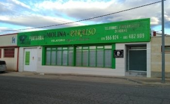 Molina-Paraiso
