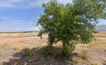 Tanatorio Municipal De Gargáligas