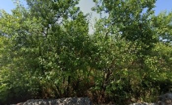 Santiago Eguiluz Fernández