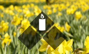 Servicios Funerarios Sfv