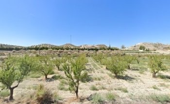 TANATORIO BENAMAUREL