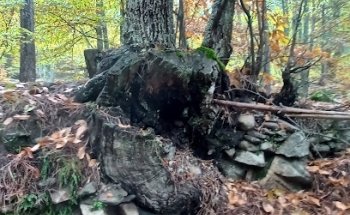 Velatorio Municipal de Casillas