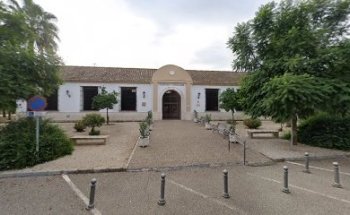 Multiservicios San Antonio