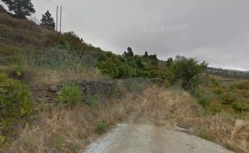 María Camila Hernández Rodríguez