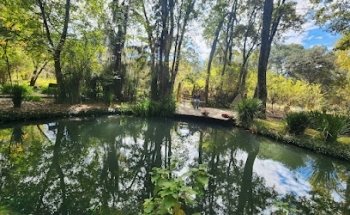 Bosque Eterno Funerary Ecological Park