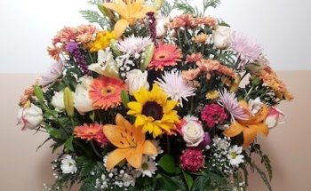 FUNERARIAS EN MADRID, Servicios Funerarios, Traslados, Incineración y Entierro