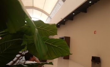 Funeraria Latinoamericana Tepeyac