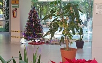 San Isidro velatorio