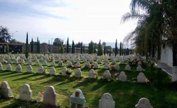 Jardines Eternos 2000