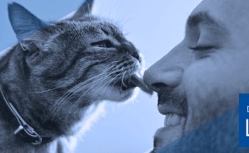 CREMAPET GUADALAJARA