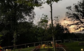 Bosque de Vida: Memorial Ecológico